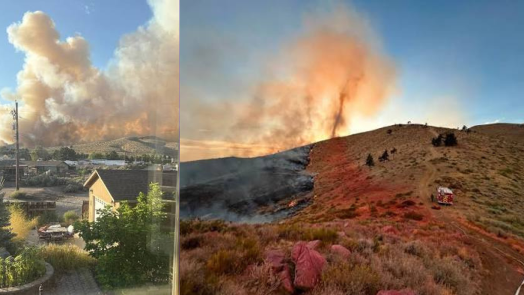 California Bug Fire 11