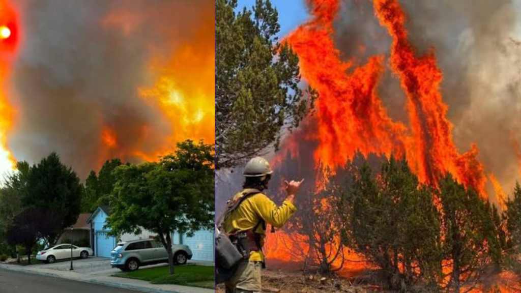 California Bug Fire 3