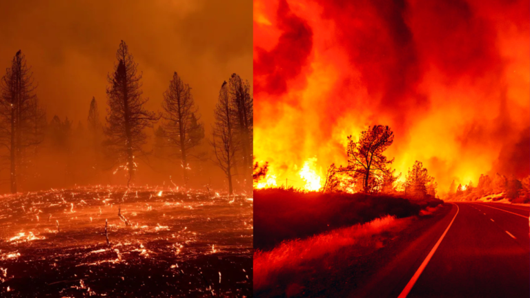 California Bug Fire Surges to 6,528 Acres as Evacuations Expand 2 California Bug Fire